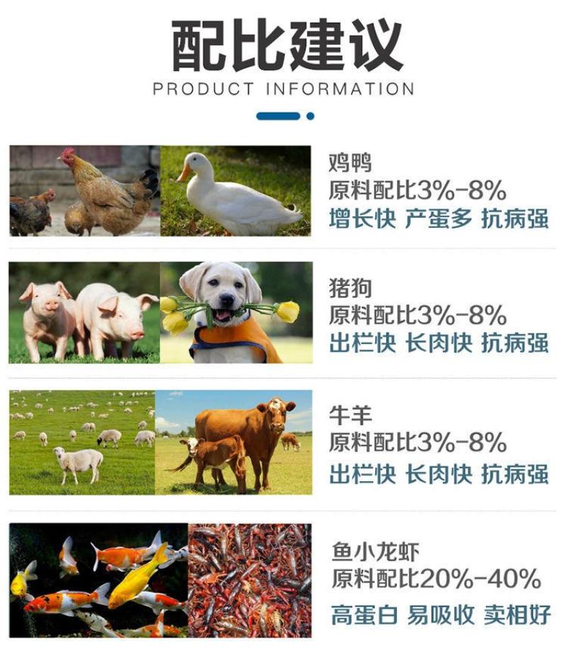 进口鱼粉，蛋白高，新鲜度好，提高采食量。《包邮》