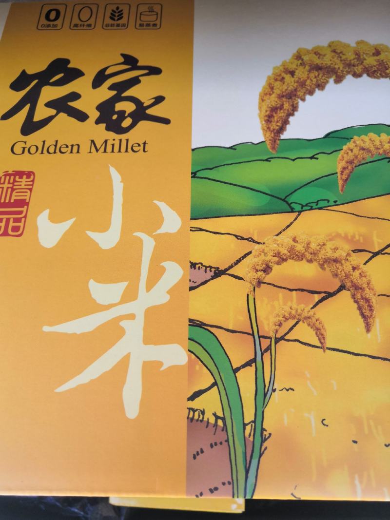 古龙小米