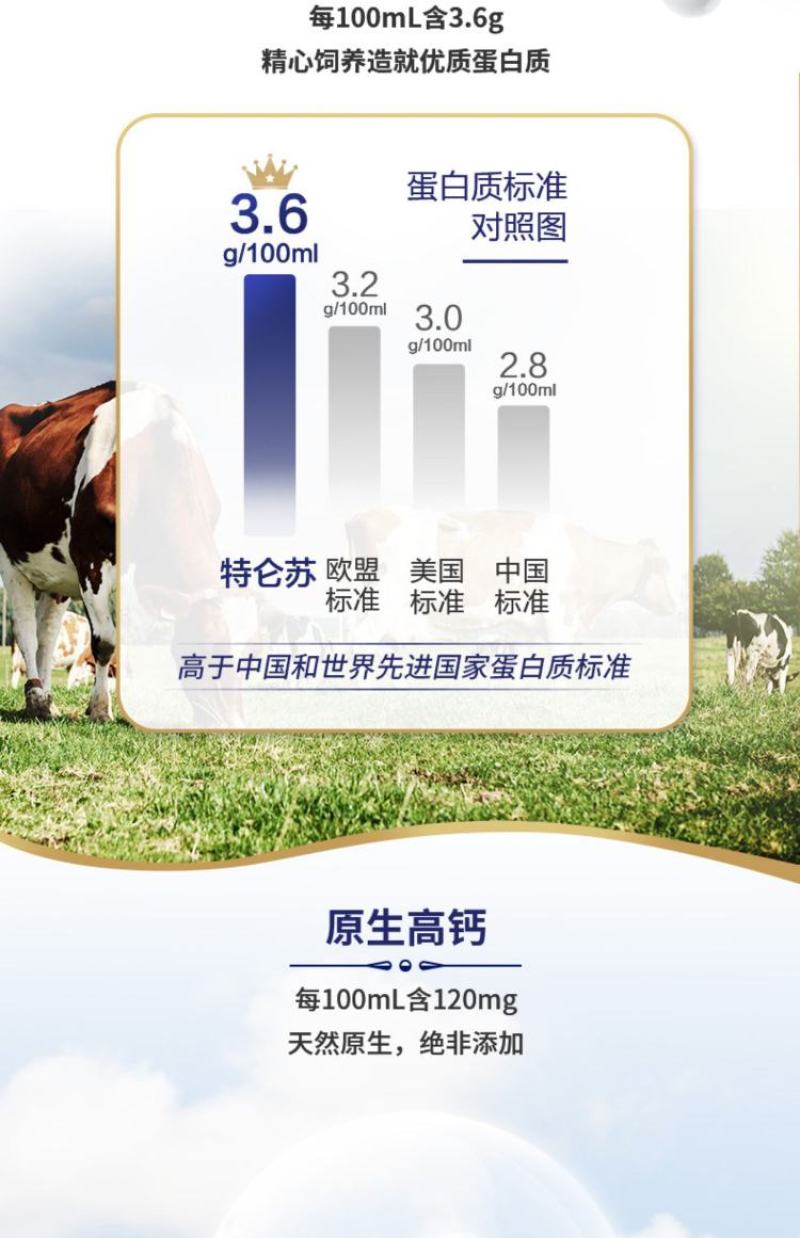 特仑苏纯牛奶，250*16，36出。需要的来，临期