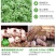 畜牧养殖专用蚊香兽用棒香猪牛羊养殖场驱蚊香棒