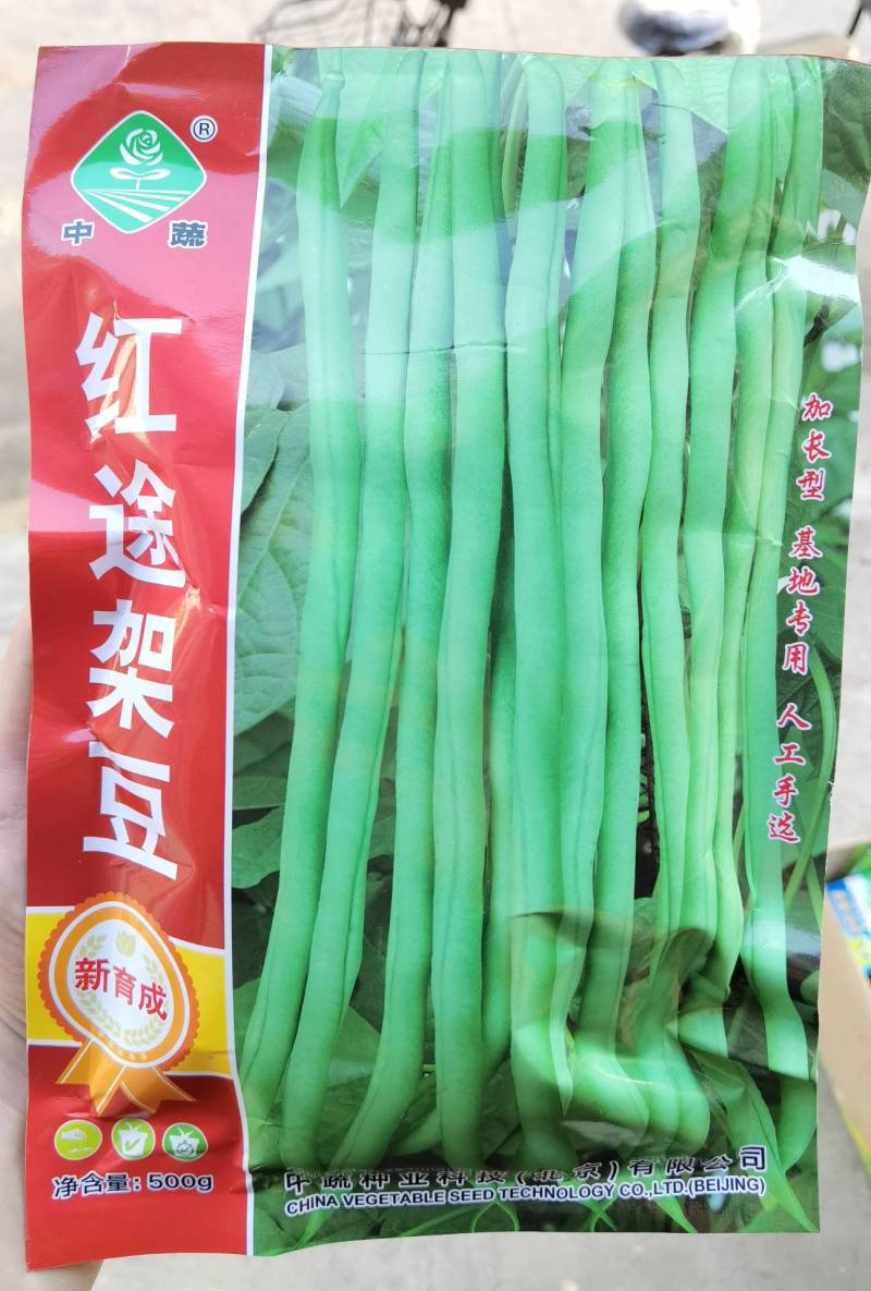 泰国无筋架豆王种子，中蔬红途架豆，红籽绿色皮四季豆种子