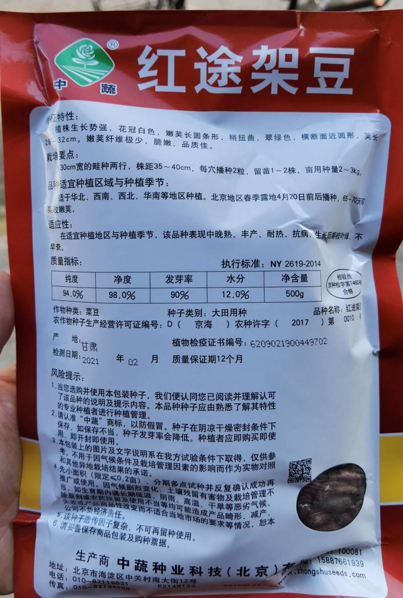 泰国无筋架豆王种子，中蔬红途架豆，红籽绿色皮四季豆种子