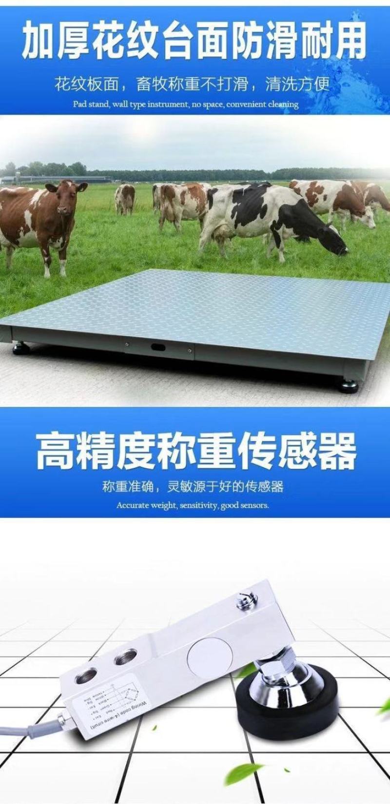 电子小地磅家用小型称猪称牛瓜果蔬菜3吨5吨有线工业磅