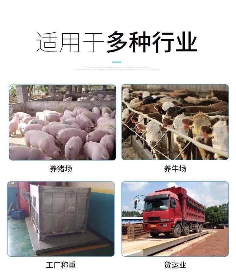 电子小地磅家用小型称猪称牛瓜果蔬菜3吨5吨有线工业磅