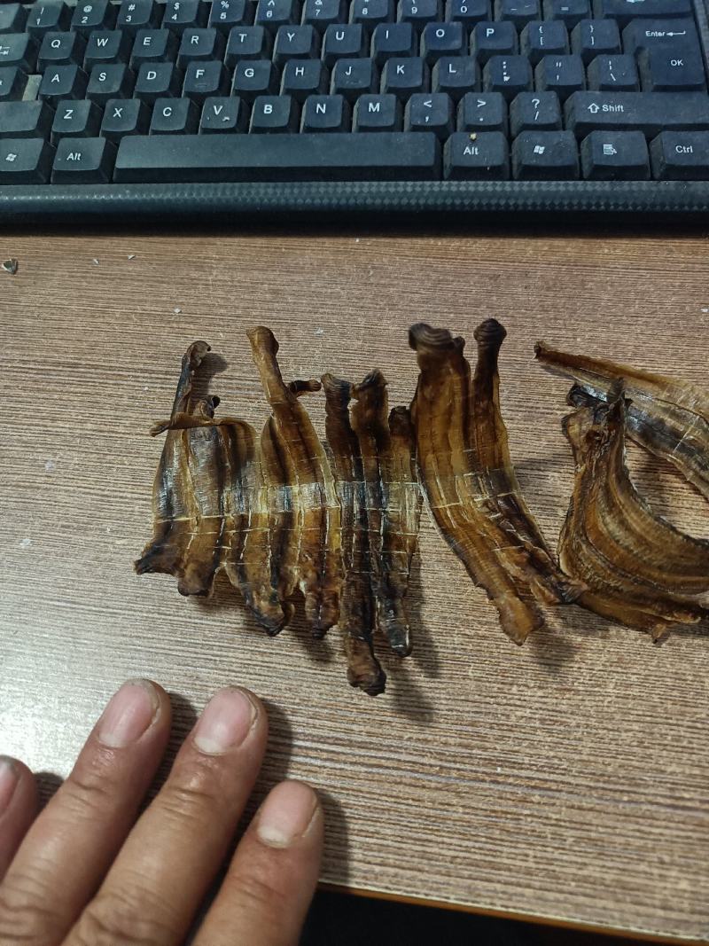 蚯蚓干地龙干全开无泥黑蚯蚓小地龙中药材网货