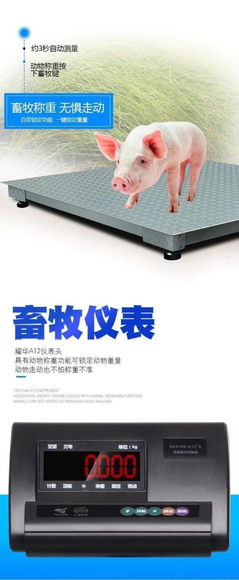 电子小地磅家用小型称猪称牛瓜果2吨1吨5吨带围栏1-3吨