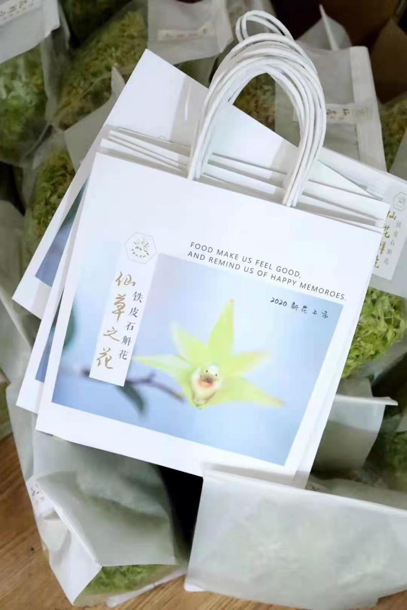 铁皮石斛鲜花石斛鲜花雁荡山基地现采现发全国顺丰包邮
