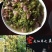 铁皮石斛鲜花石斛鲜花雁荡山基地现采现发全国顺丰包邮