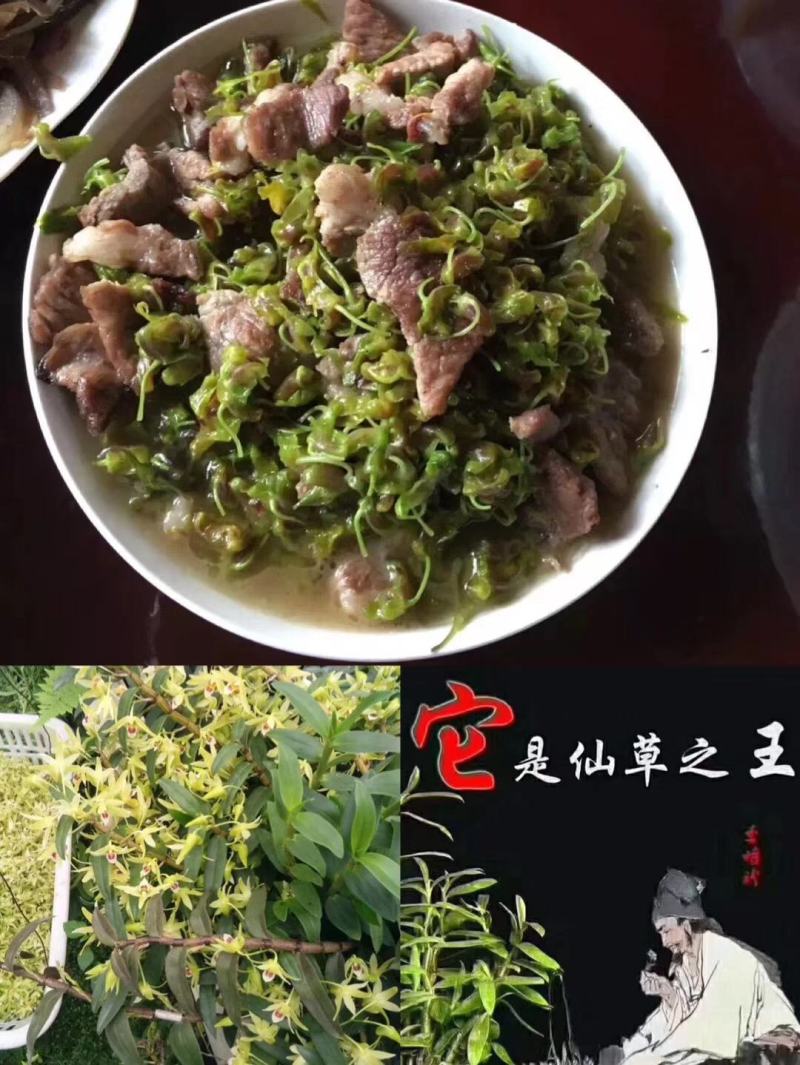 铁皮石斛鲜花石斛鲜花雁荡山基地现采现发全国顺丰包邮
