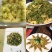 铁皮石斛鲜花石斛鲜花雁荡山基地现采现发全国顺丰包邮