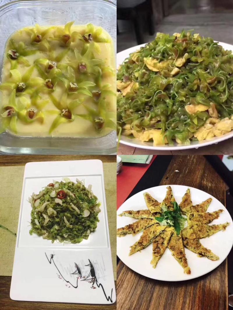 铁皮石斛鲜花石斛鲜花雁荡山基地现采现发全国顺丰包邮