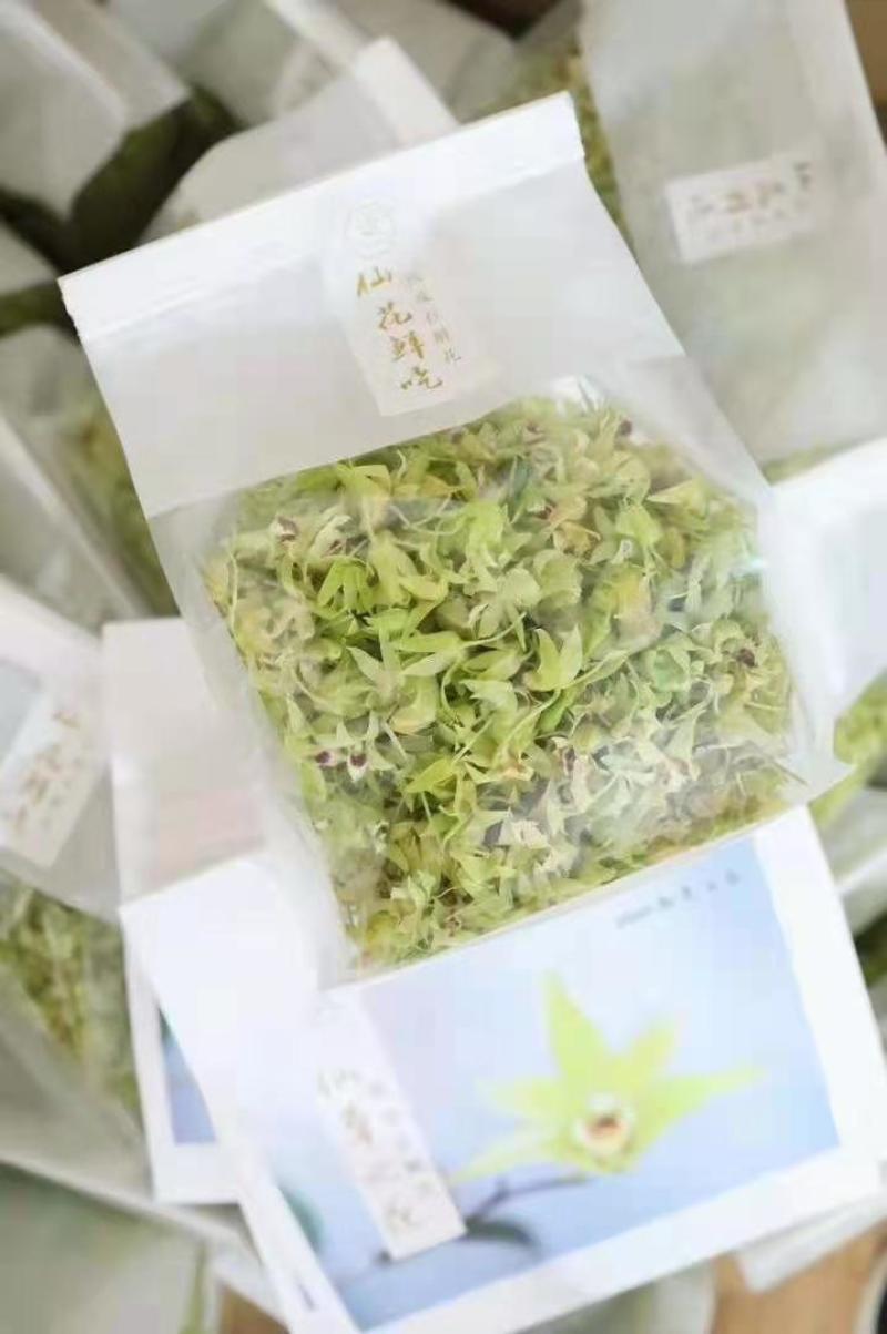 铁皮石斛鲜花石斛鲜花雁荡山基地现采现发全国顺丰包邮