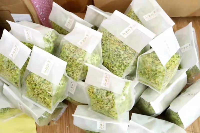 铁皮石斛鲜花石斛鲜花雁荡山基地现采现发全国顺丰包邮