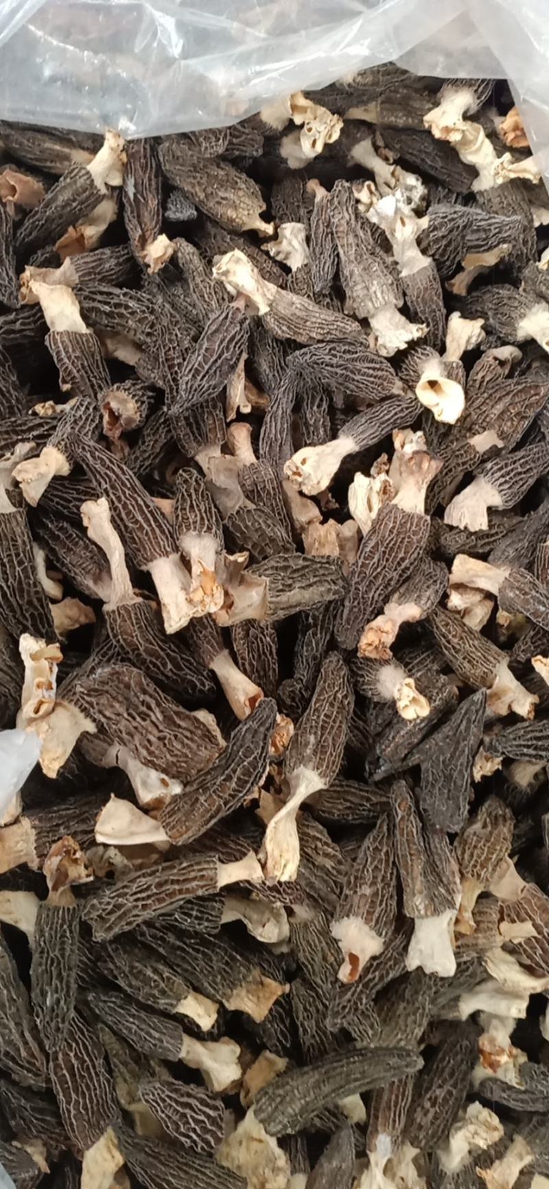 各种野生菌批发
