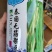 泰国无筋架豆王种子，无筋绿皮四季豆种子春秋两用，高产美观