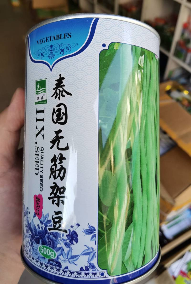 泰国无筋架豆王种子，无筋绿皮四季豆种子春秋两用，高产美观