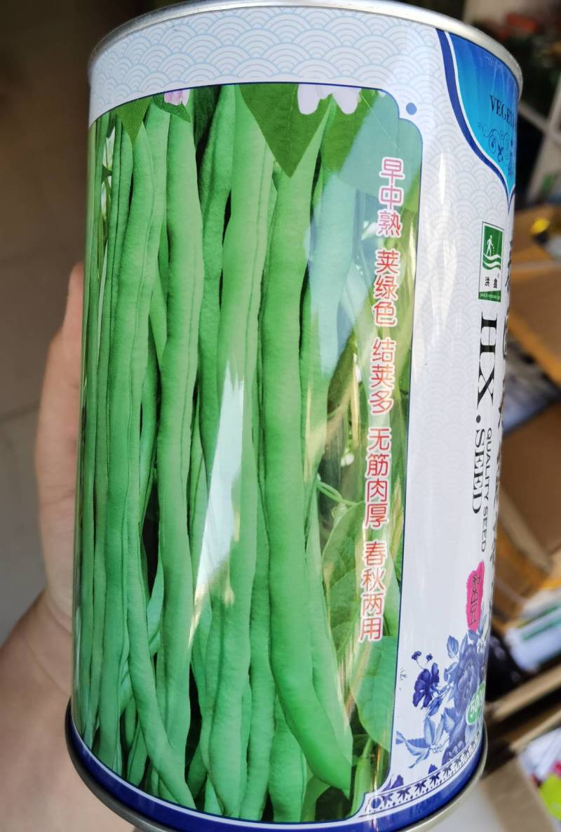 泰国无筋架豆王种子，无筋绿皮四季豆种子春秋两用，高产美观