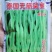 泰国无筋架豆王种子，无筋绿皮四季豆种子春秋两用，高产美观