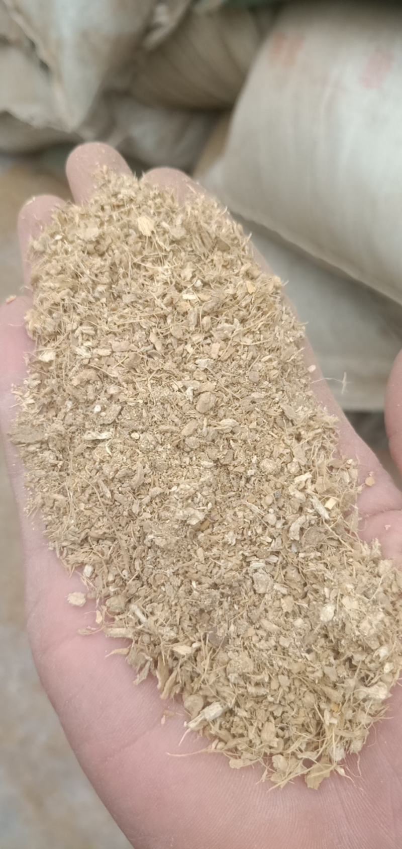 姜沫