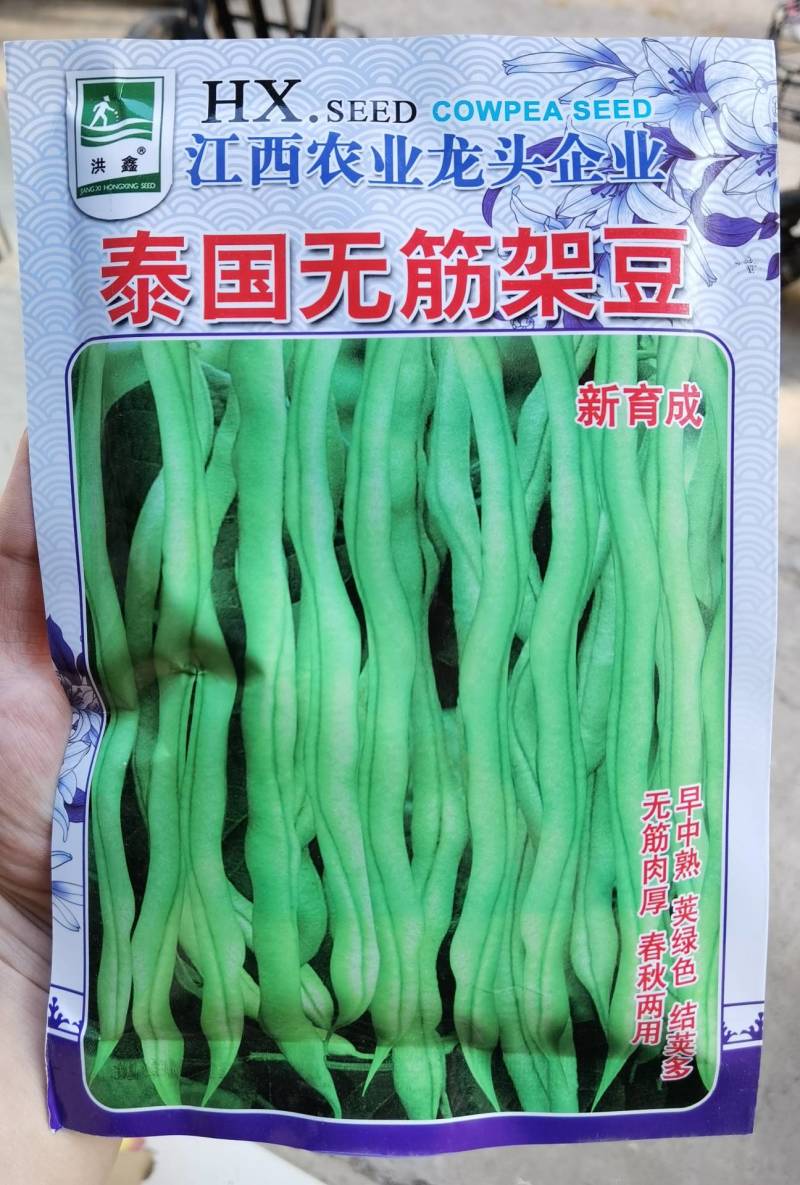 泰国无筋架豆王种子，春秋绿皮四季豆种子高产肉厚品质好
