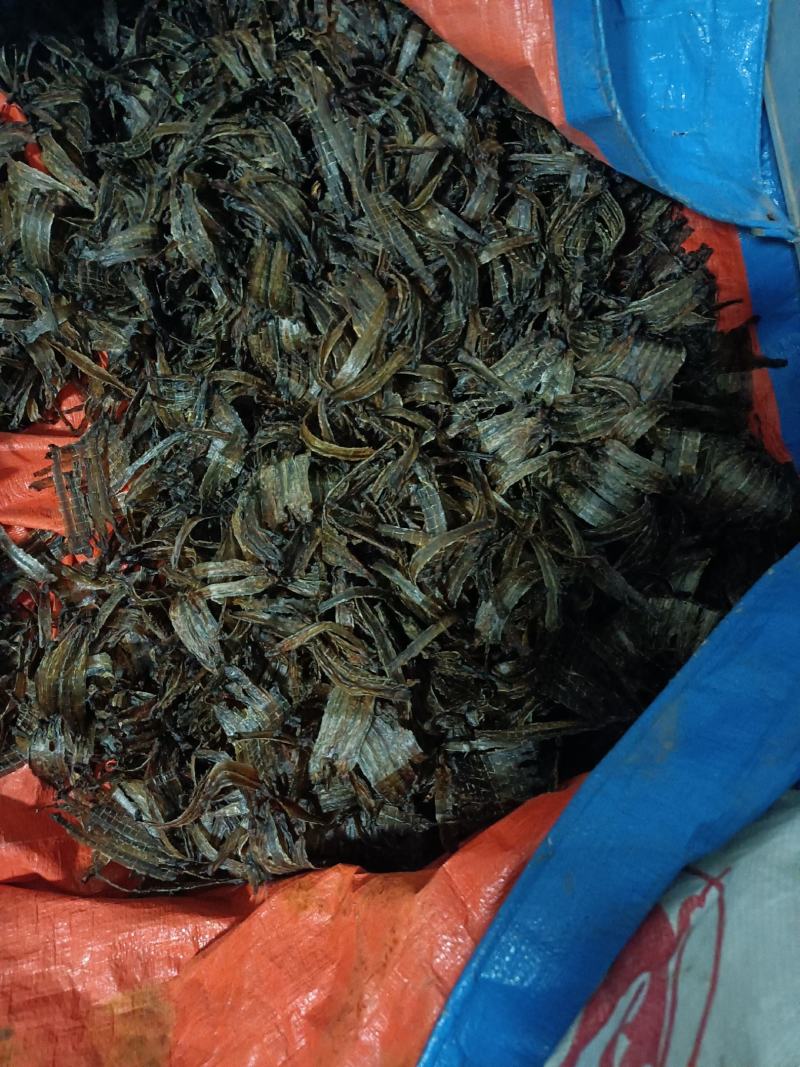 蚯蚓干地龙干全开无泥黑蚯蚓小地龙中药材网货