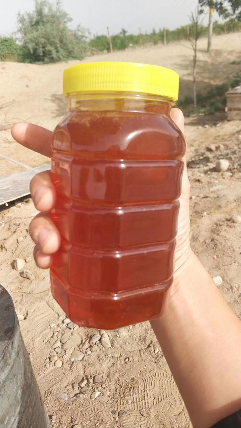 新疆和田沙枣花蜂蜜纯正不添加
