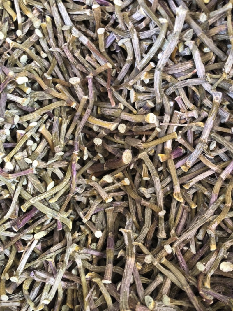 铁皮石斛寸金条