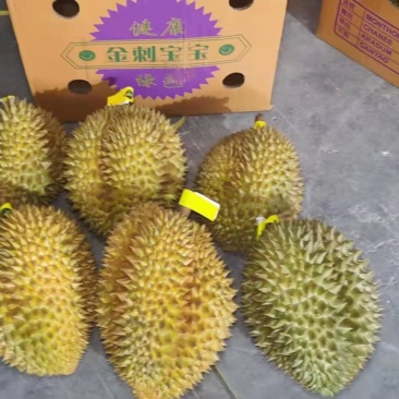 泰国金枕