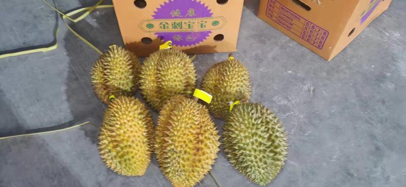 泰国金枕