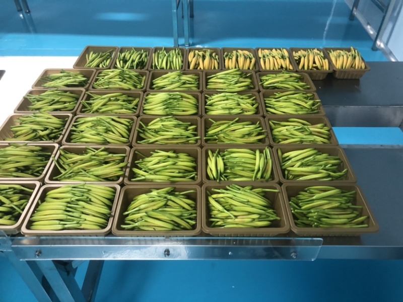 黄花菜鲜货湖南祁东基地直采带打包各种克重