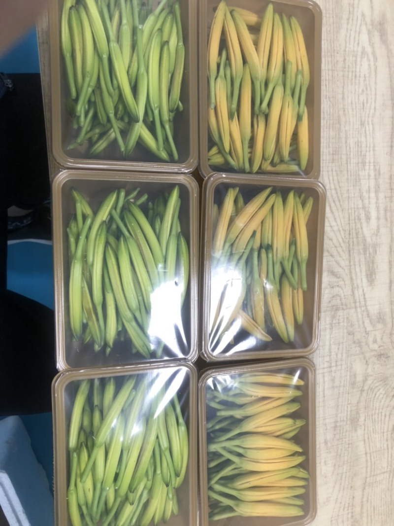 黄花菜鲜货湖南祁东基地直采带打包各种克重