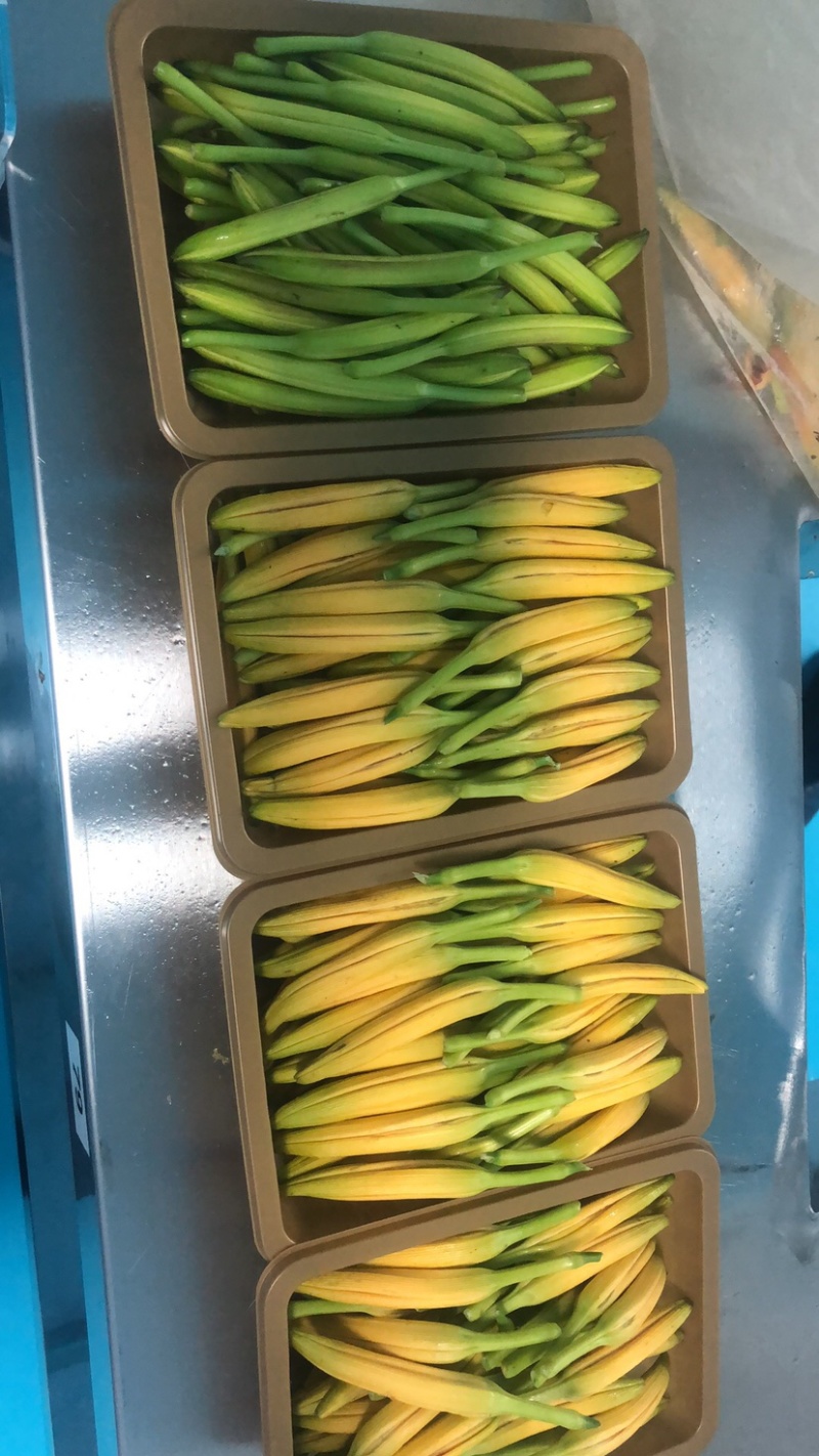 黄花菜鲜货湖南祁东基地直采带打包各种克重