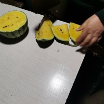 特小凤西瓜正宗(农友)小兰瓜产地一一江苏东台