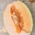 西州蜜25，小蜜25，口感好，糖度高，大量供应各种甜瓜