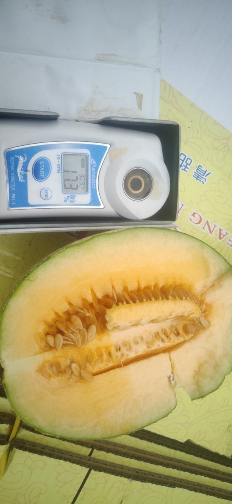 西州蜜25，小蜜25，口感好，糖度高，大量供应各种甜瓜
