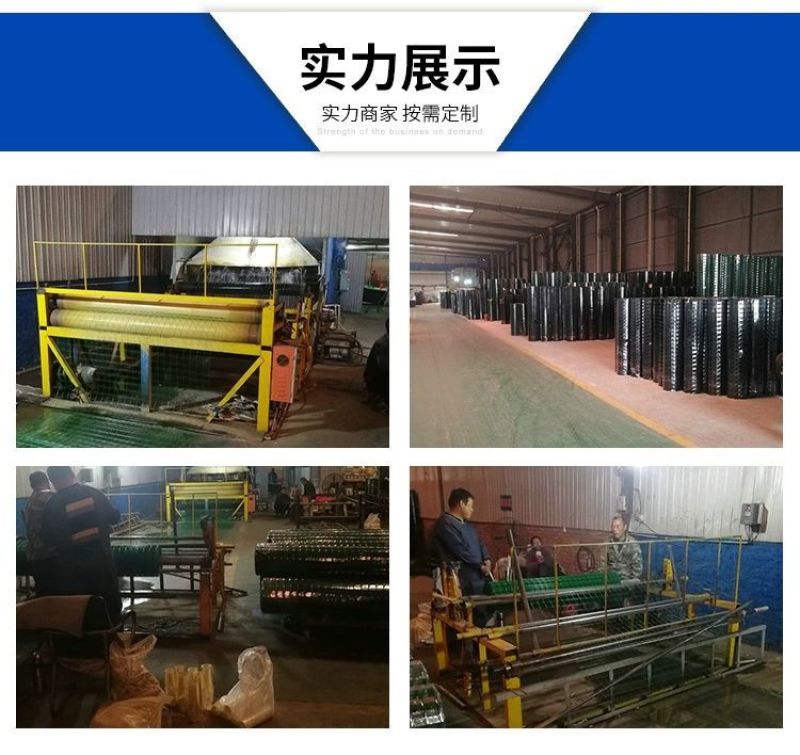 铁丝网养殖网鸡舍棚防护网菜园围栏护栏网栅栏玉米铁丝网隔离