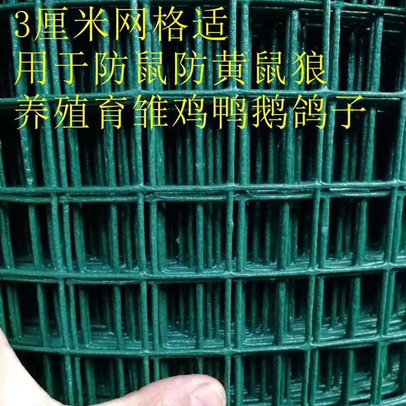 铁丝网养殖网鸡舍棚防护网菜园围栏护栏网栅栏玉米铁丝网隔离