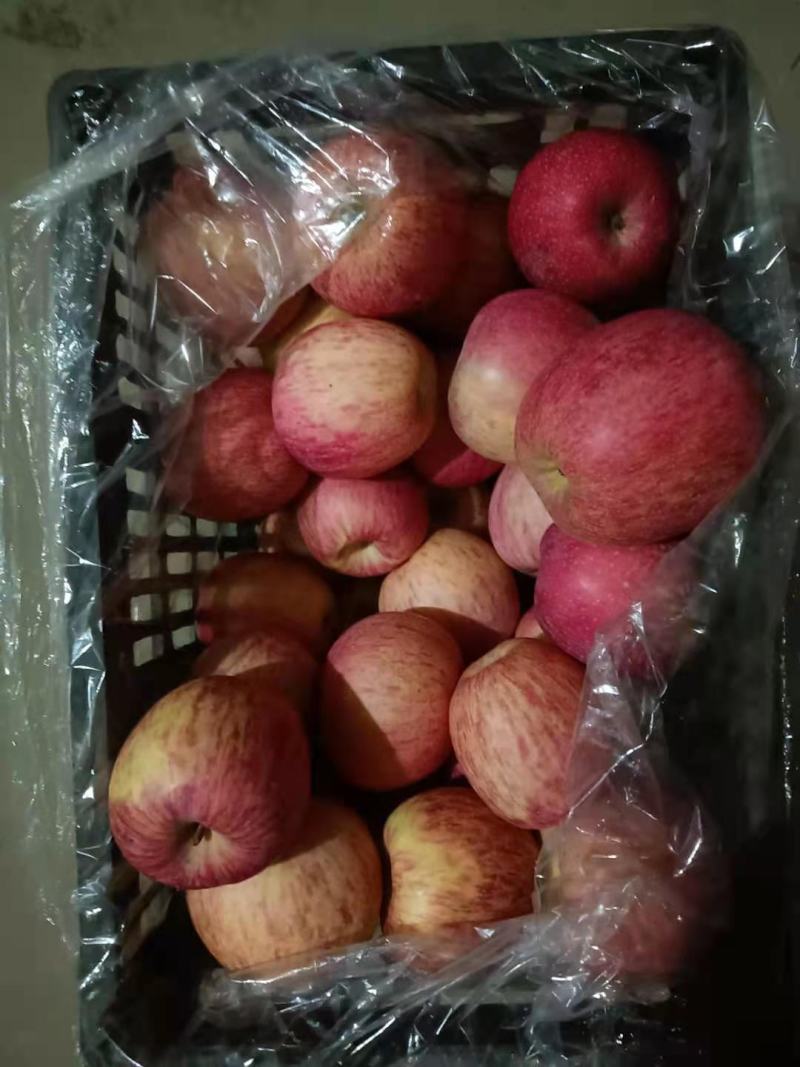 灵宝纸代果面干净硬度好正在热销中