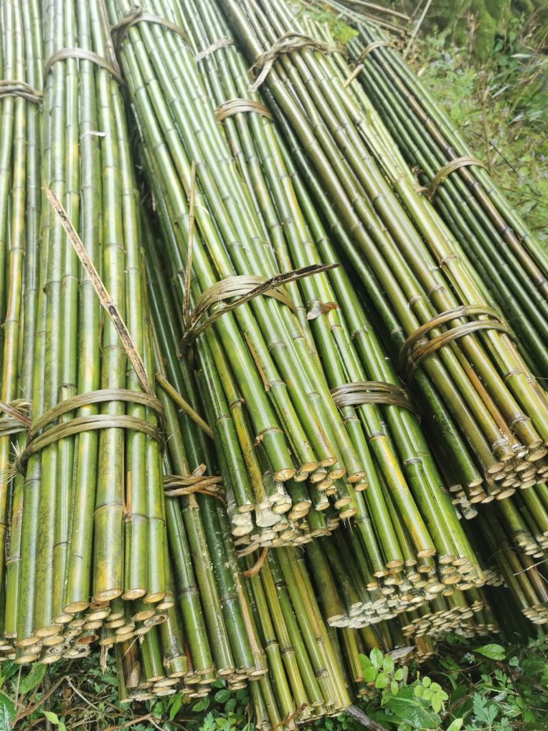竹竿，菜架竹