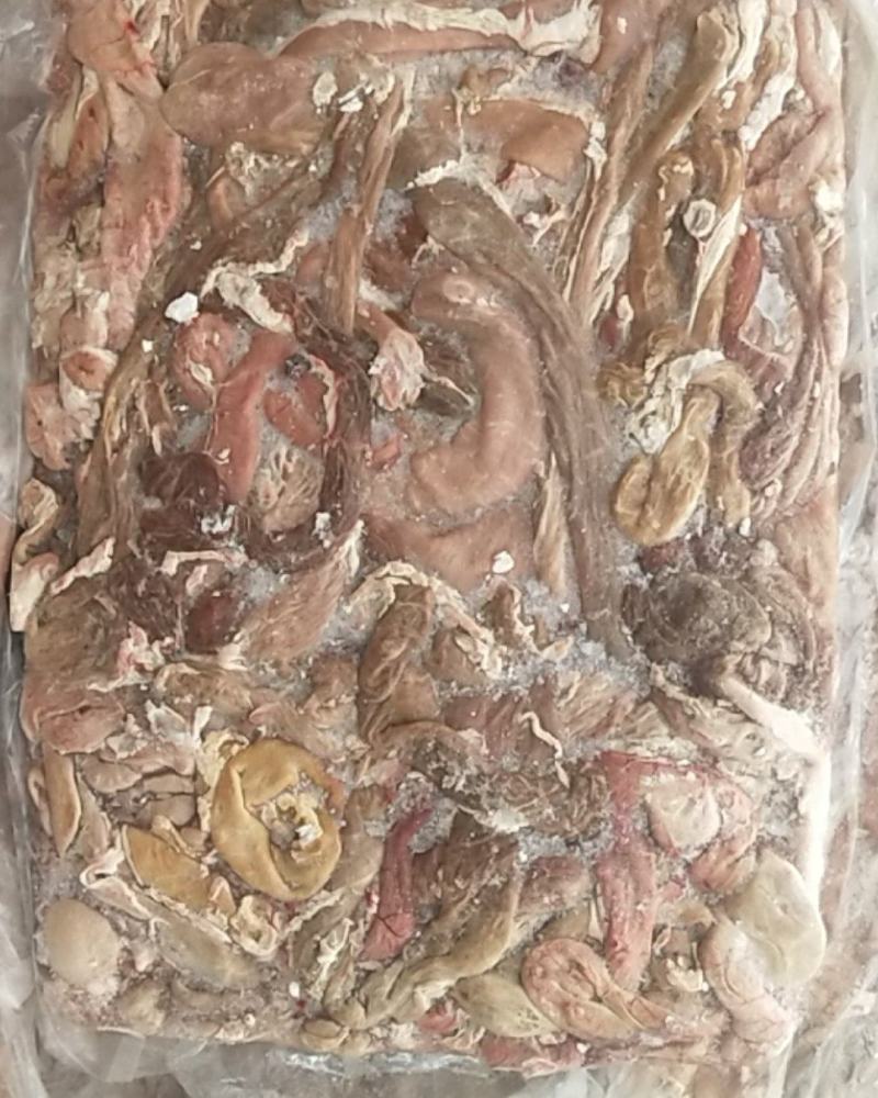 苦肠没有反过