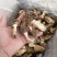 纯野生羊肚菌精选货，产地直销