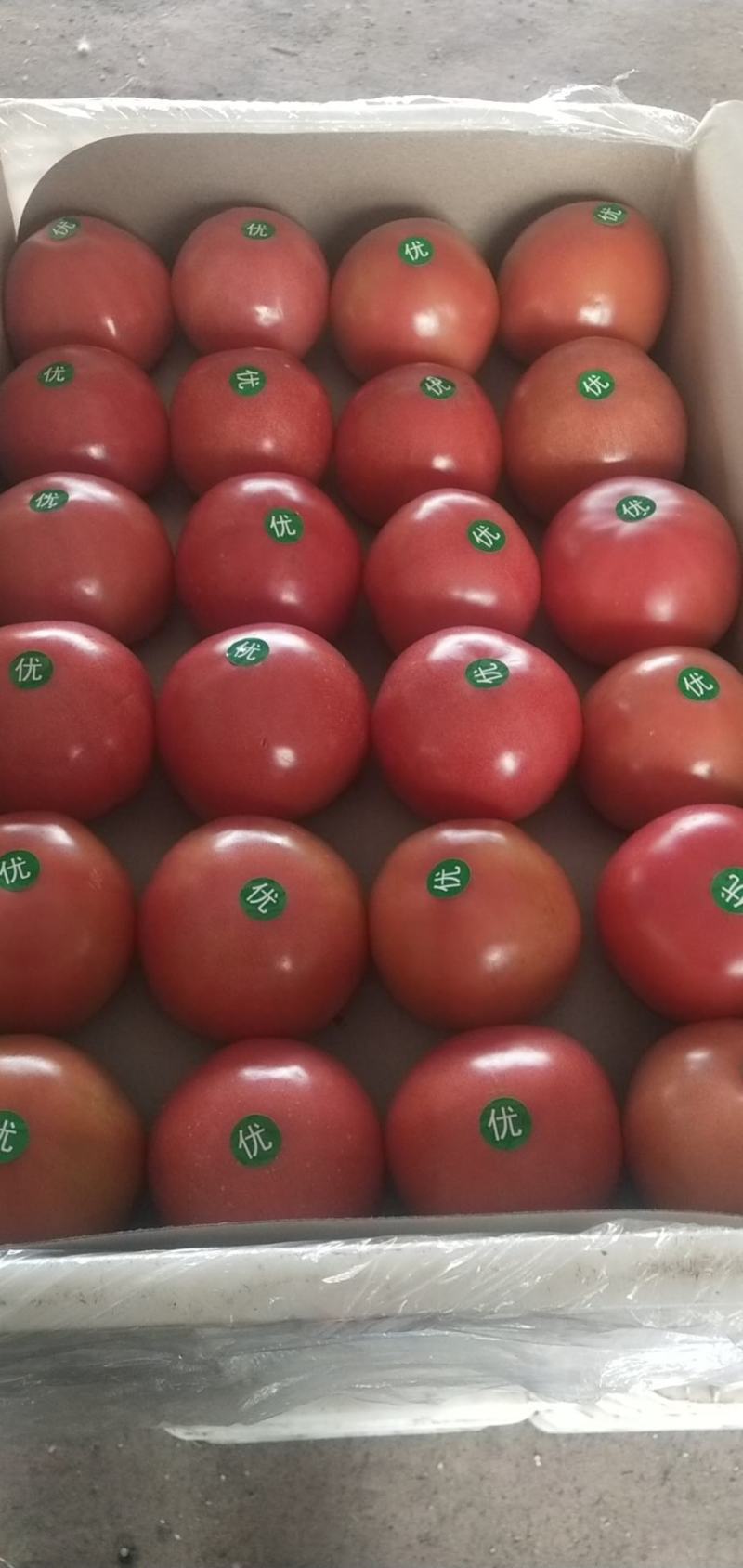 蔬菜平度市优质口感西红柿大量上市