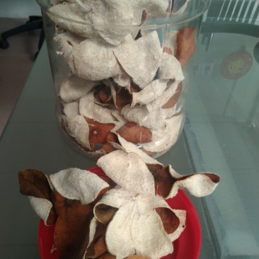自家剥的去年新陈皮，新会柑陈皮红果皮