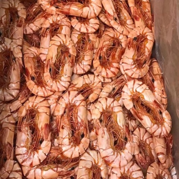 大号九节虾干，斑节干虾🦐，斤20对左右