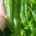 二炮辣椒，欢迎广大客商前来订购。前来洽谈。菜椒。