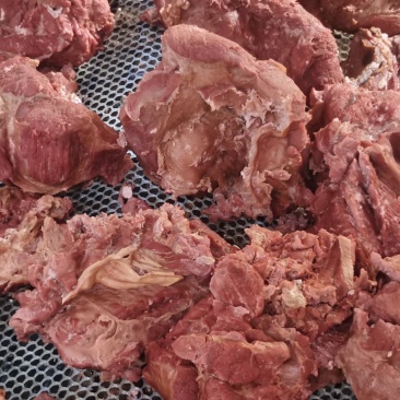 马肉