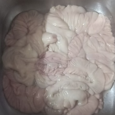 猪大肠