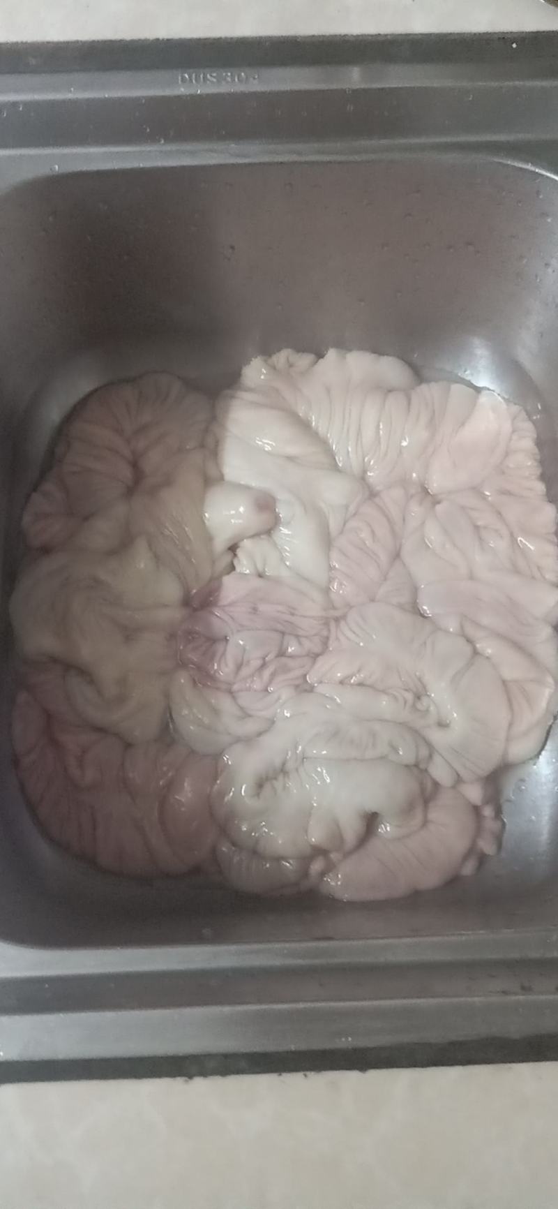 猪大肠