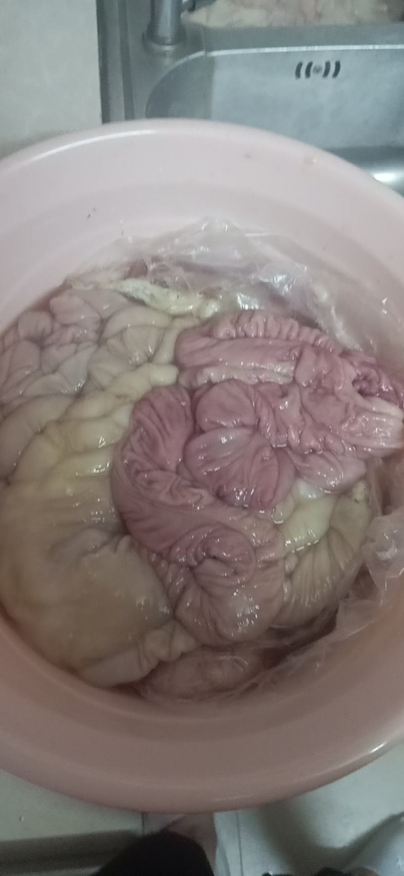 猪大肠