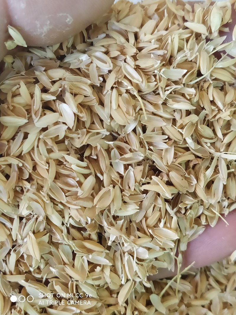 优质稻壳厂家直销，除尘无水分，量大优惠。